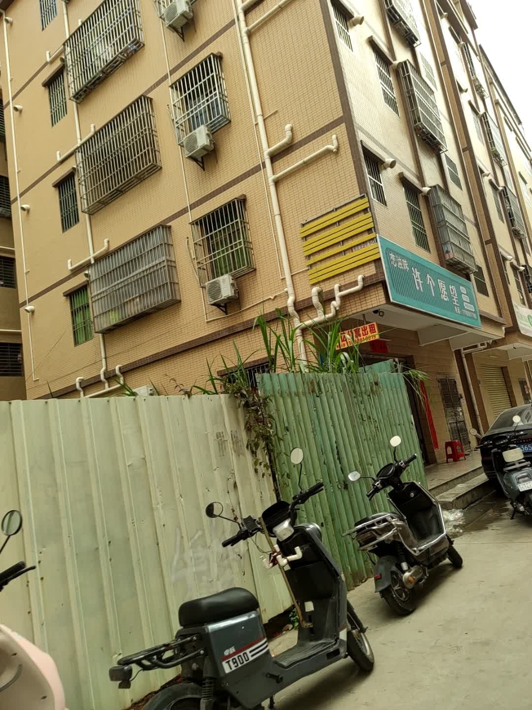 许个愿望·生日蛋糕木糖醇动物奶油冰淇淋(惠阳店)