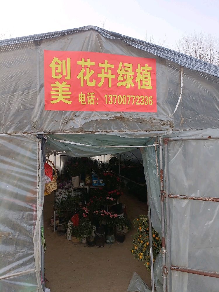 唐河县创美花卉绿植店