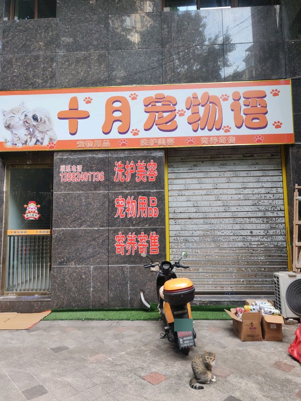 十月宠物语
