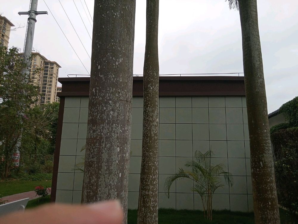 儋州市公共厕所