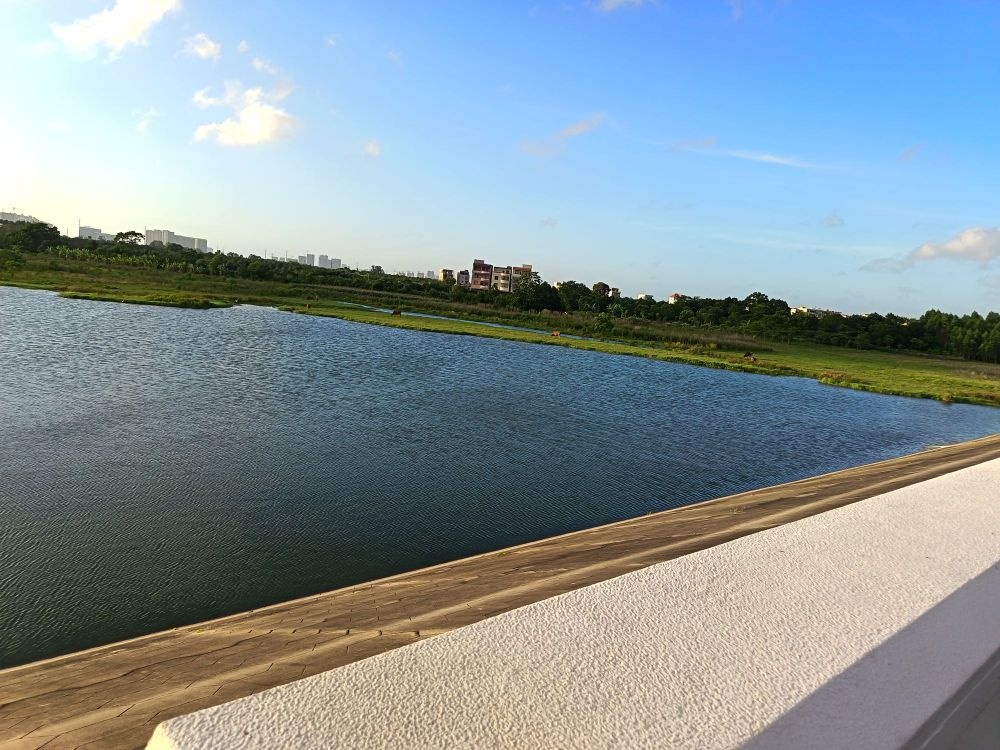 鲤鱼地水库