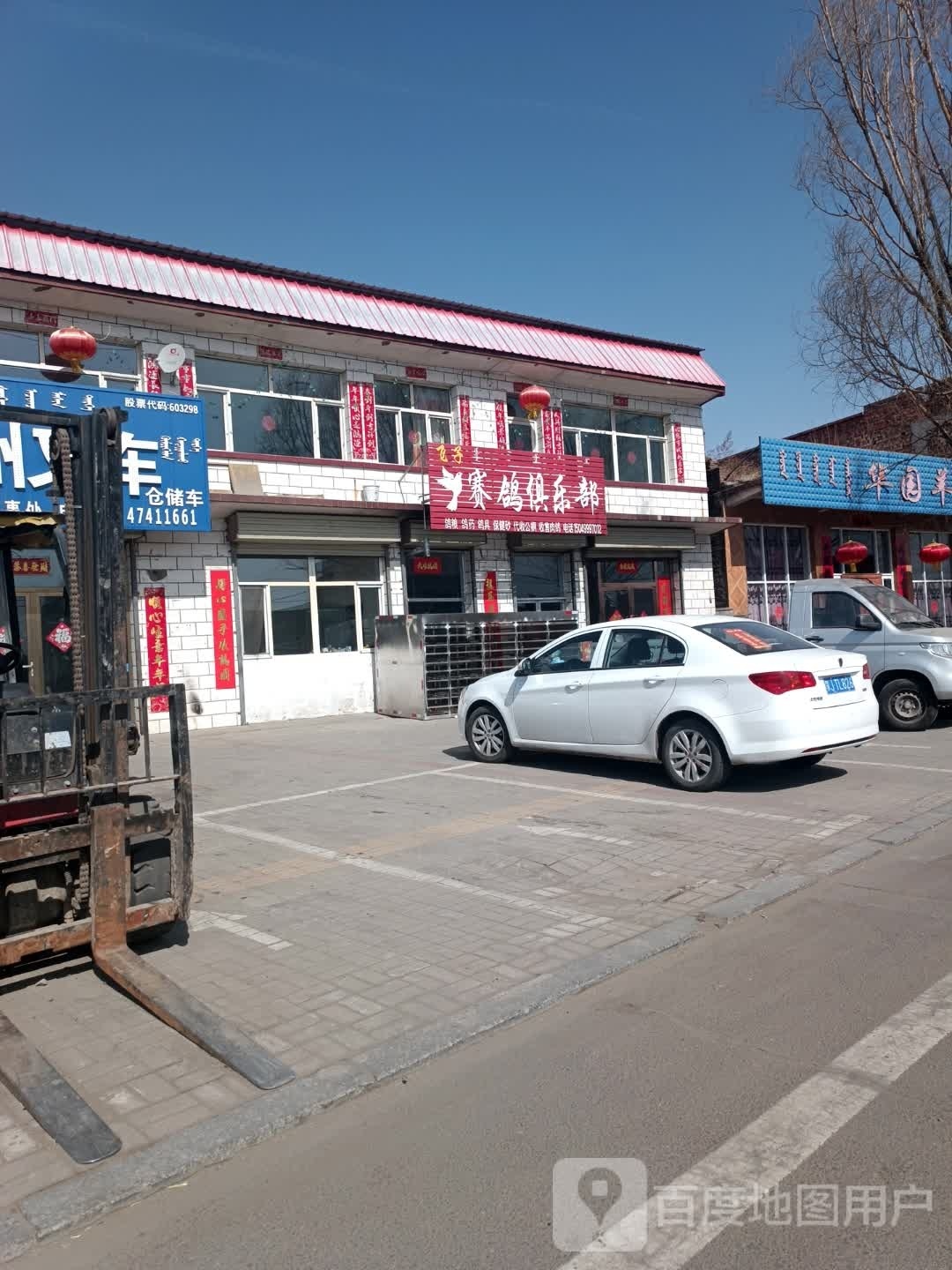 飞子赛鸽俱乐部