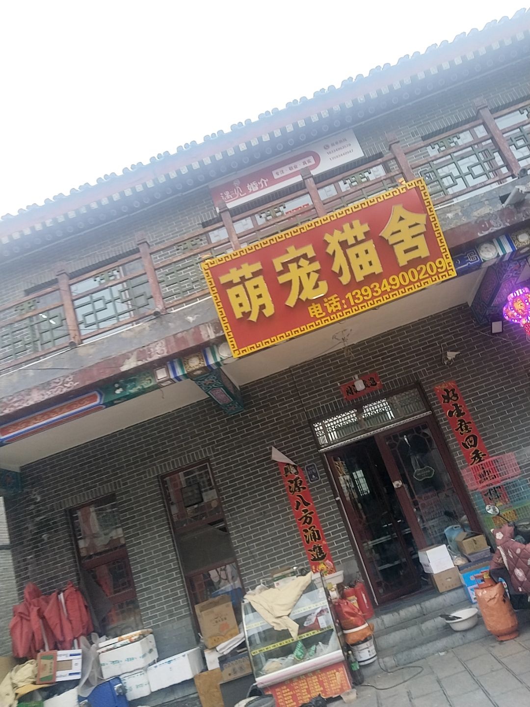 萌宠猫舍