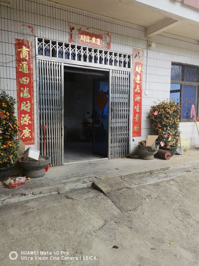 合石椰子收购点