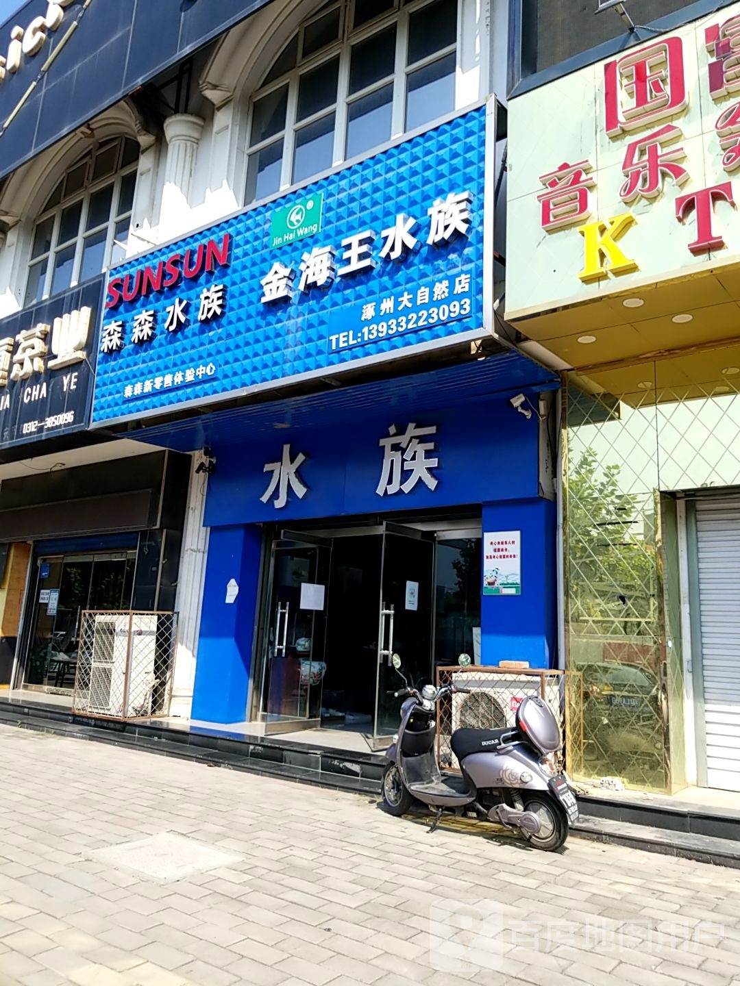 森森水族金海王水族(平安大街店)