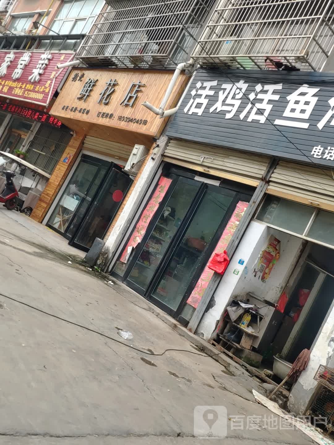 鹿邑县拾光鲜花店