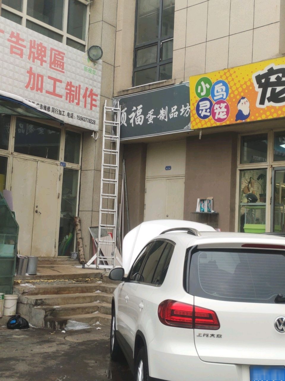 猫小巷宠物店