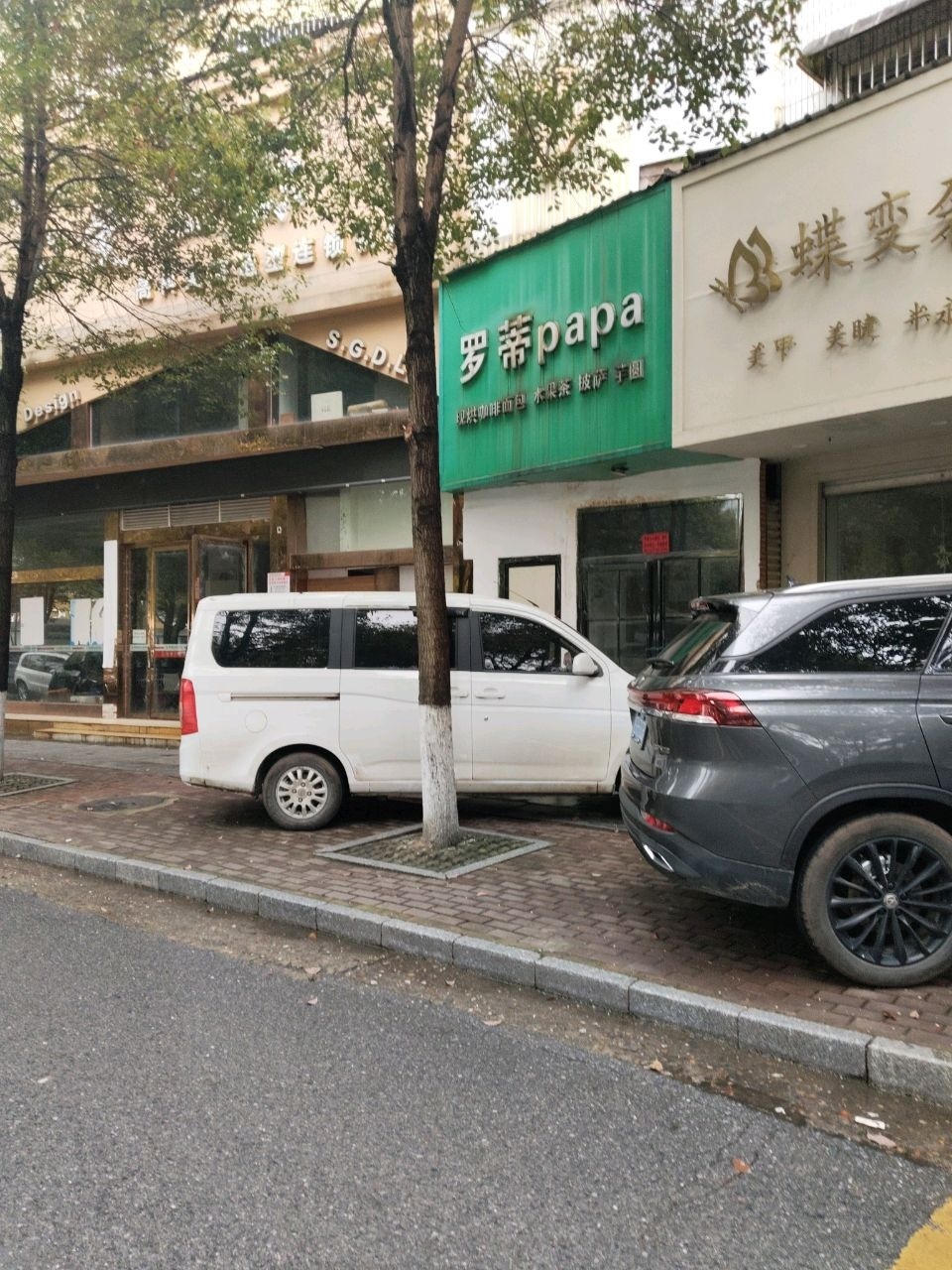 罗蒂papa