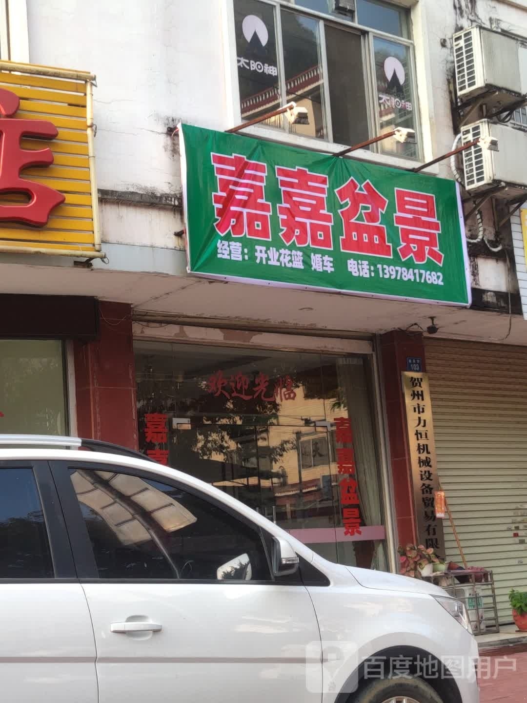 嘉嘉盆景