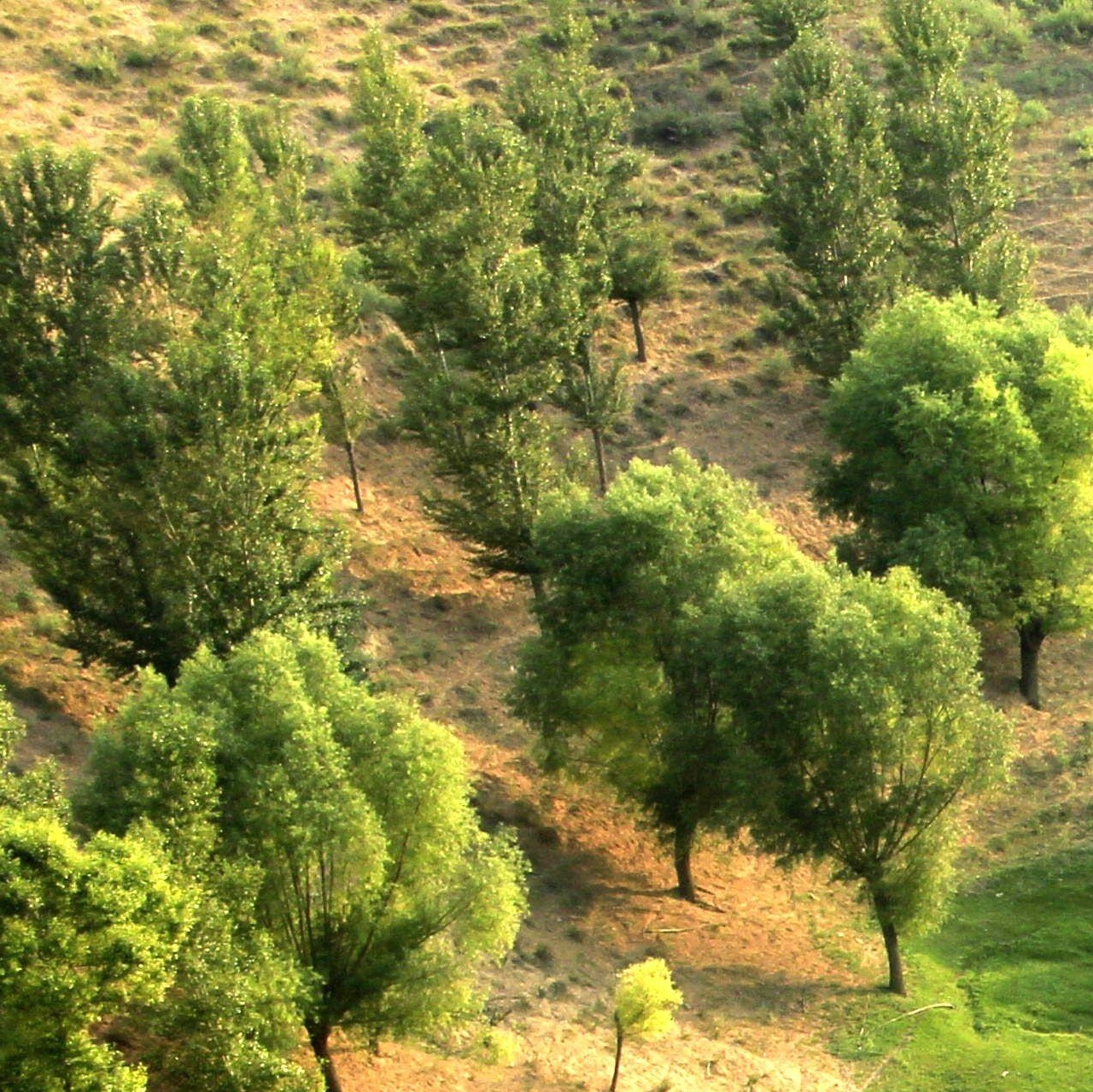 内蒙古萨拉乌苏国家湿地公园