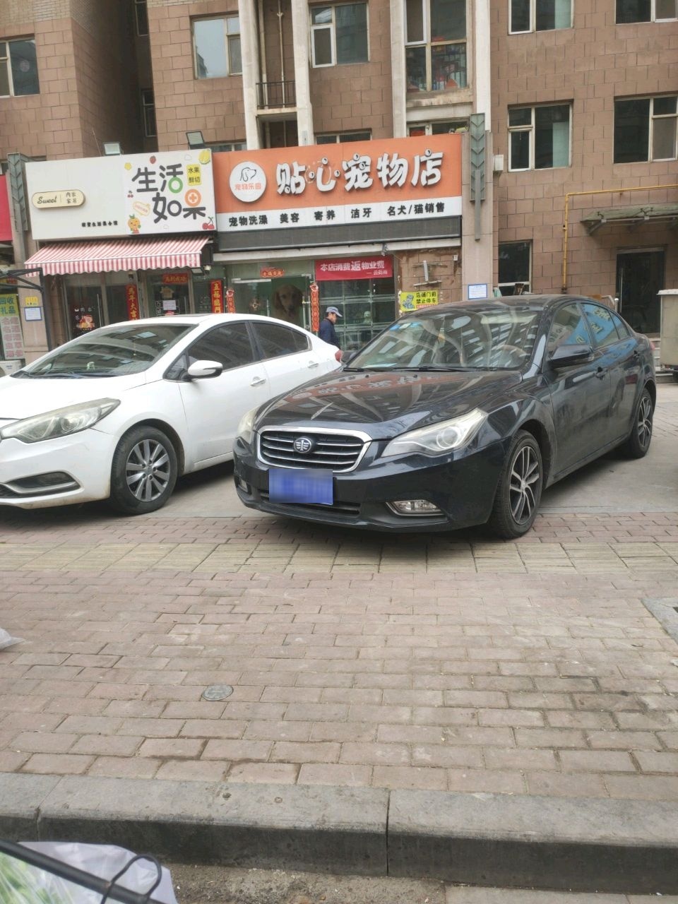 宠物乐园贴心宠物店