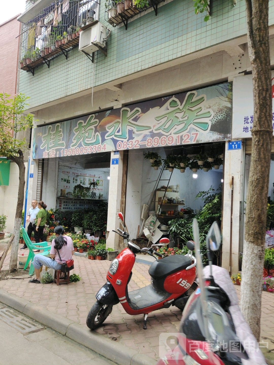 桂花水景