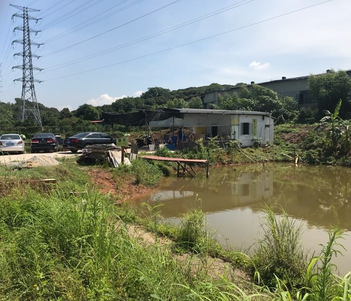 东庄钓鱼场