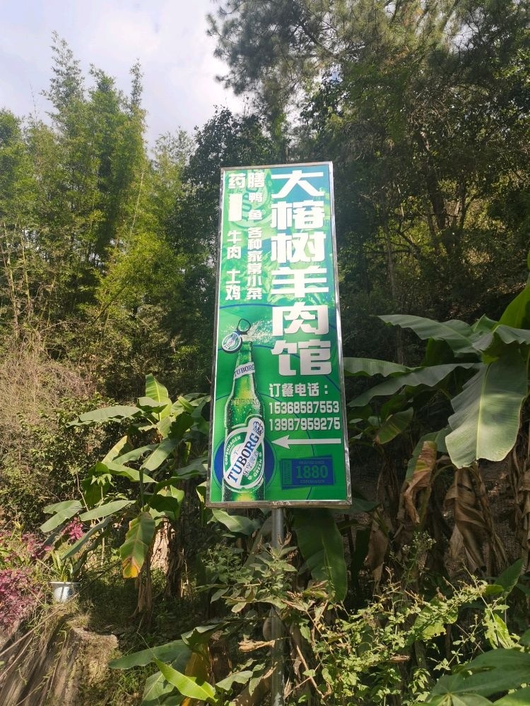 大榕树羊肉馆