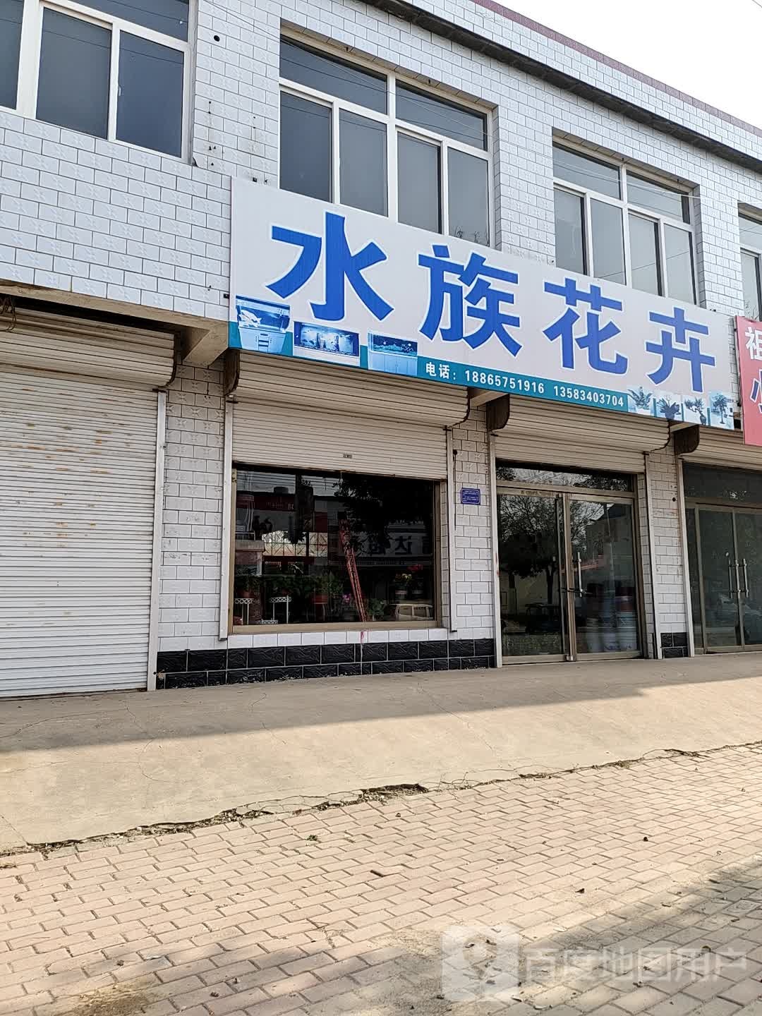 水族花卉