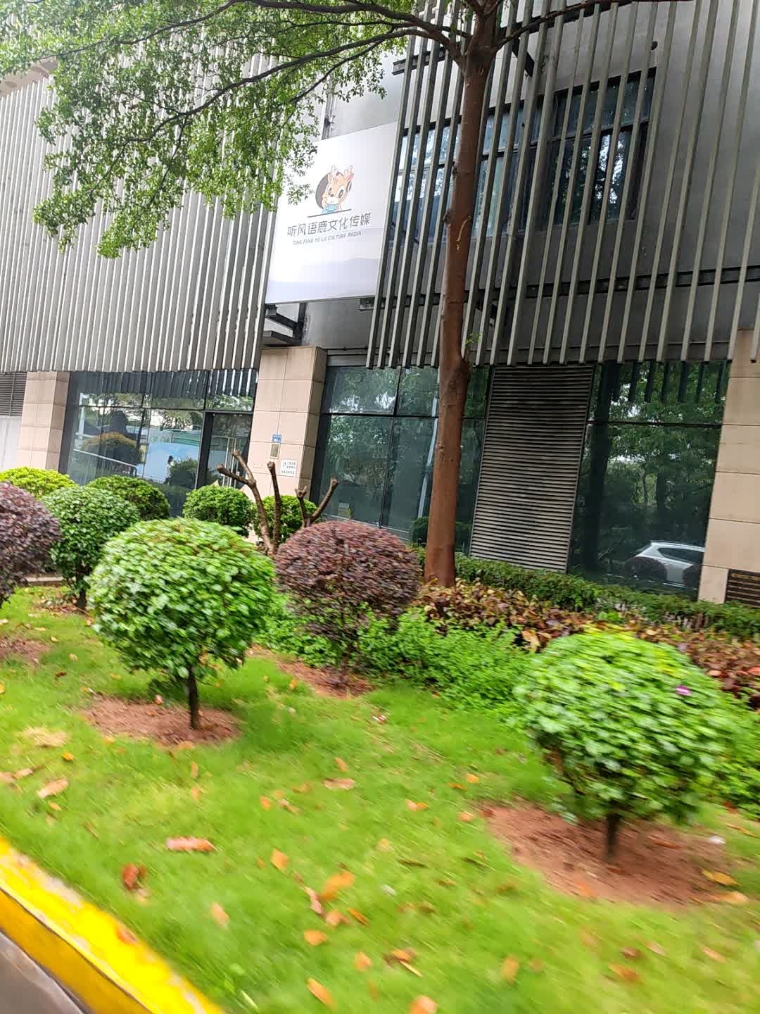 听风语鹿文化传媒