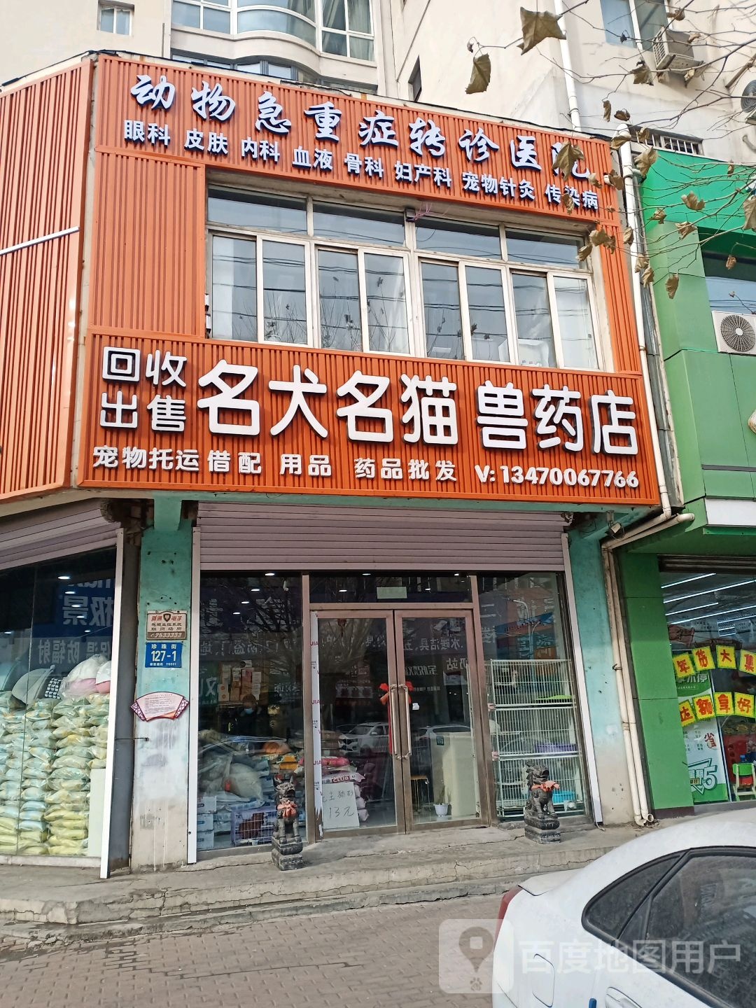 回收出售名犬名猫店