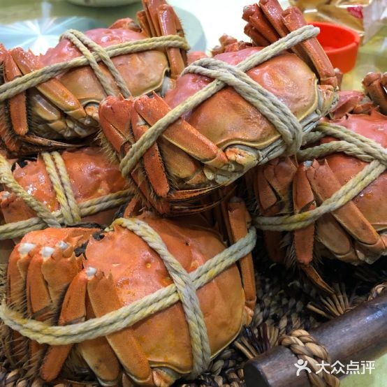 永乐蟹舫