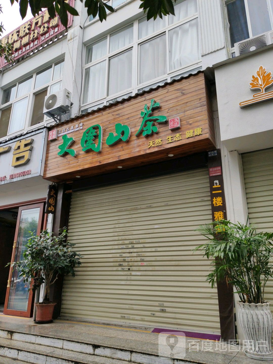 大围山茶
