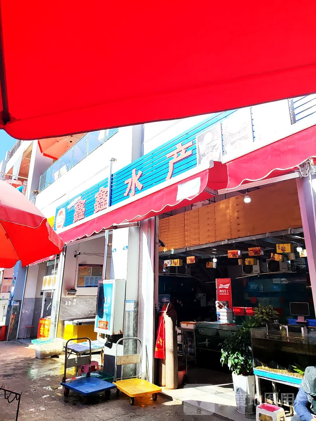 新星水产玉溪店(东风南路店)