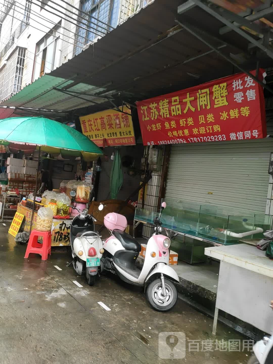 江苏精品大闸蟹批发零售