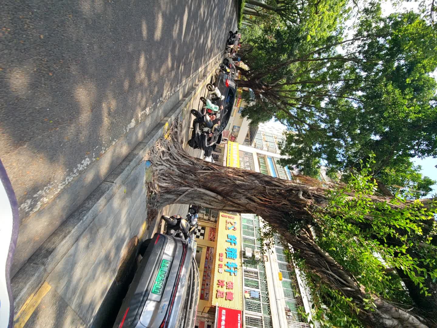 纤雅轩(椹川大道南38号小区店)