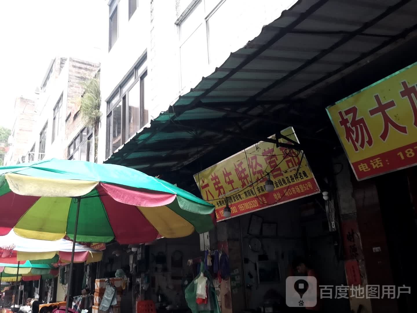 六弟生蚝经营部