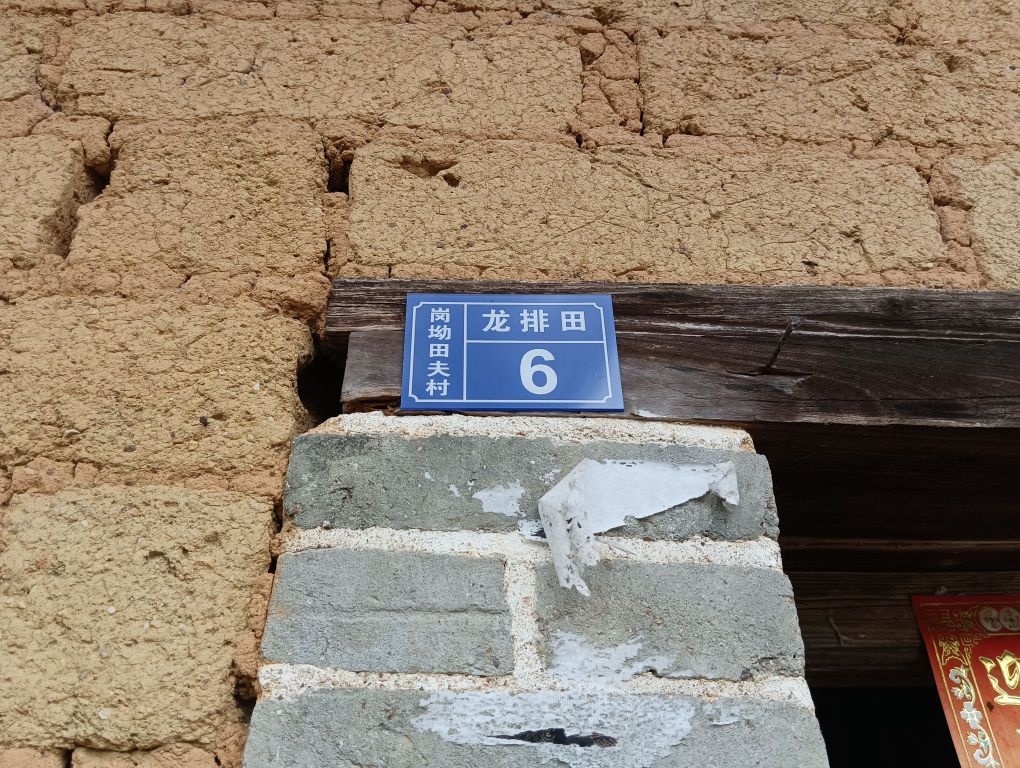 岗坳田夫村龙排田6号