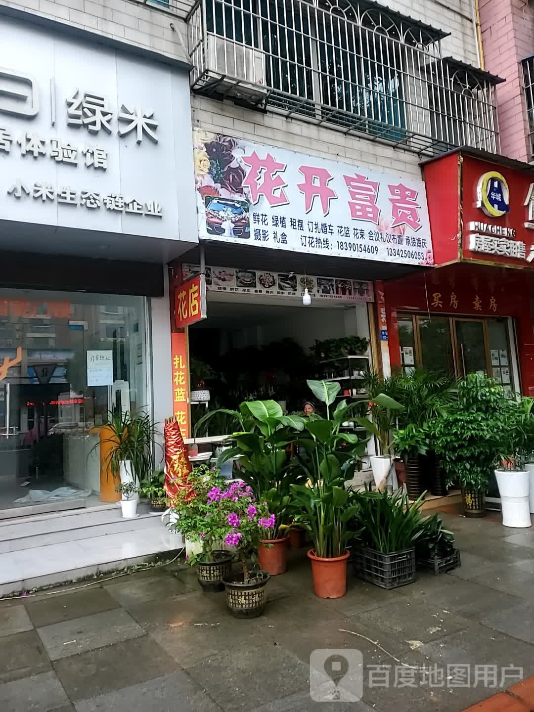 花开富贵(华鲇路店)